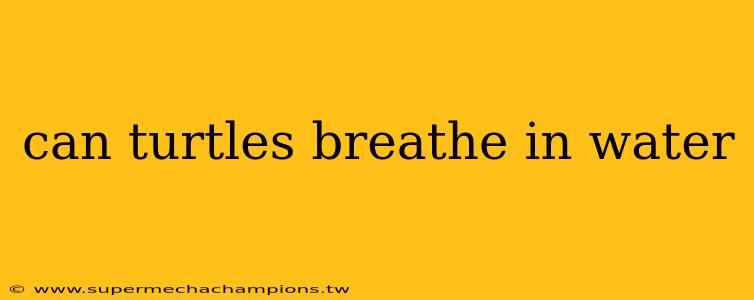 can turtles breathe in water