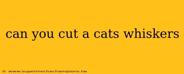 can you cut a cats whiskers
