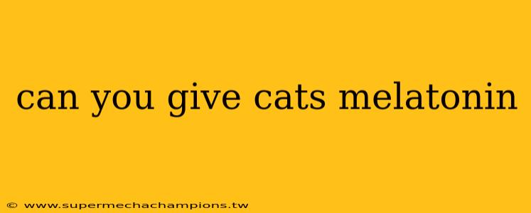 can you give cats melatonin