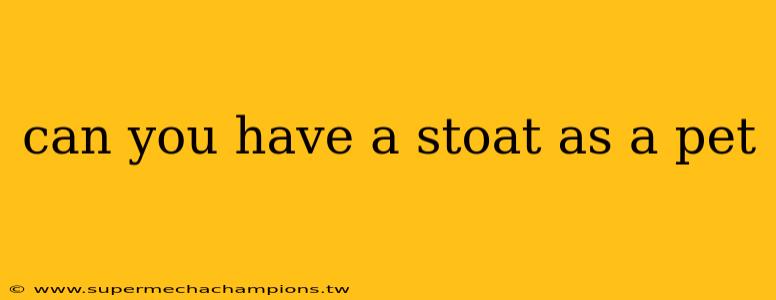 can you have a stoat as a pet