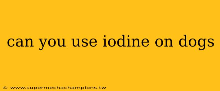 can you use iodine on dogs