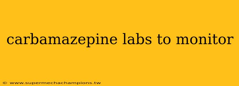 carbamazepine labs to monitor