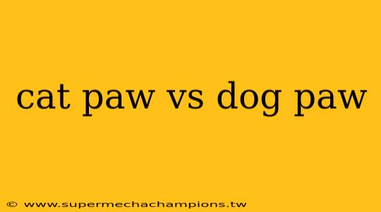 cat paw vs dog paw