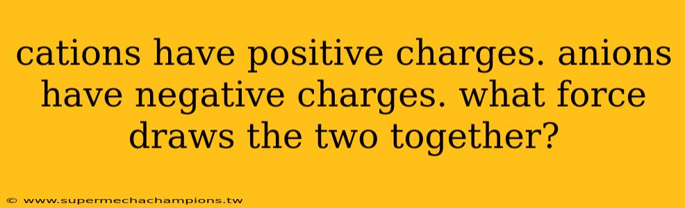cations have positive charges. anions have negative charges. what force draws the two together?