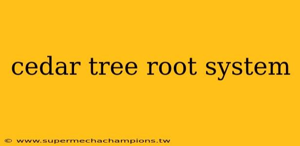 cedar tree root system