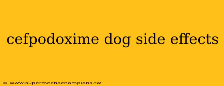 cefpodoxime dog side effects