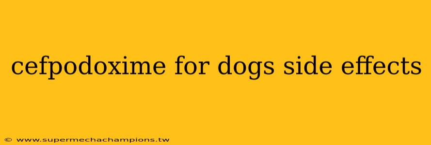 cefpodoxime for dogs side effects