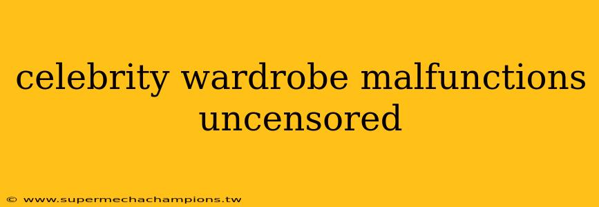 celebrity wardrobe malfunctions uncensored