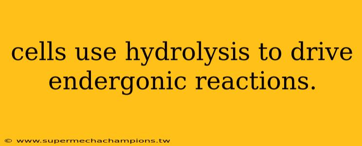cells use hydrolysis to drive endergonic reactions.