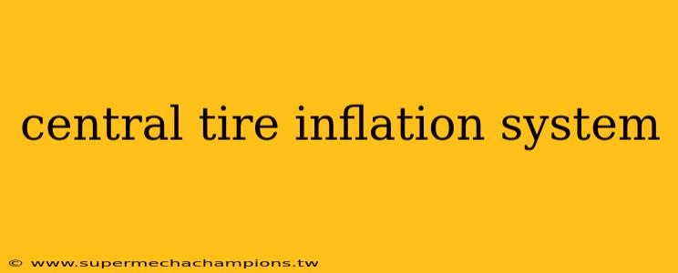 central tire inflation system