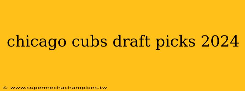 chicago cubs draft picks 2024