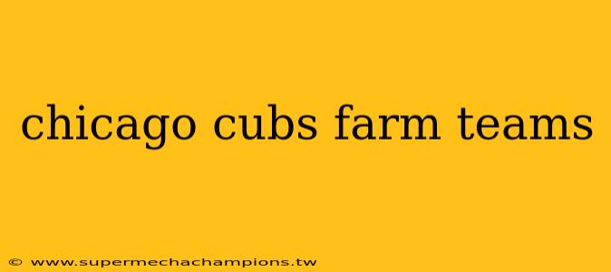chicago cubs farm teams
