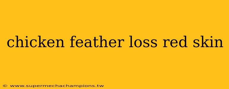 chicken feather loss red skin
