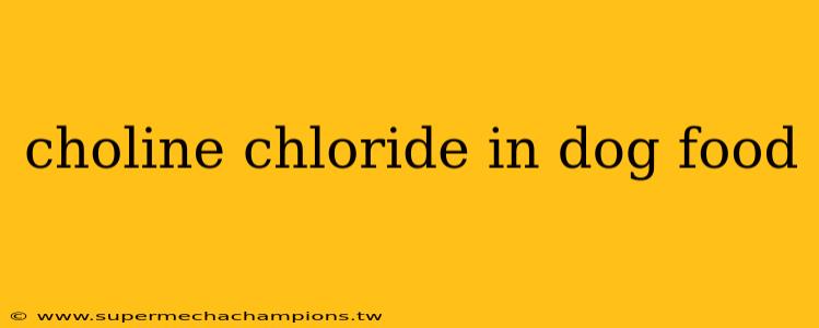 choline chloride in dog food