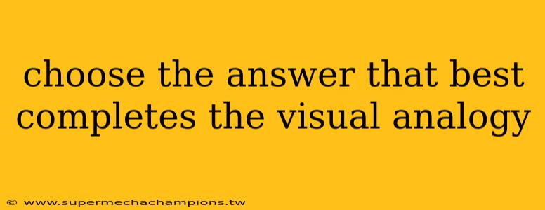 choose the answer that best completes the visual analogy