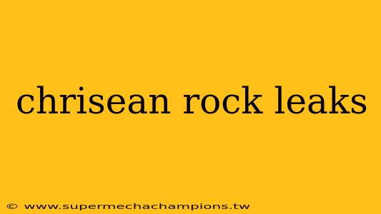 chrisean rock leaks