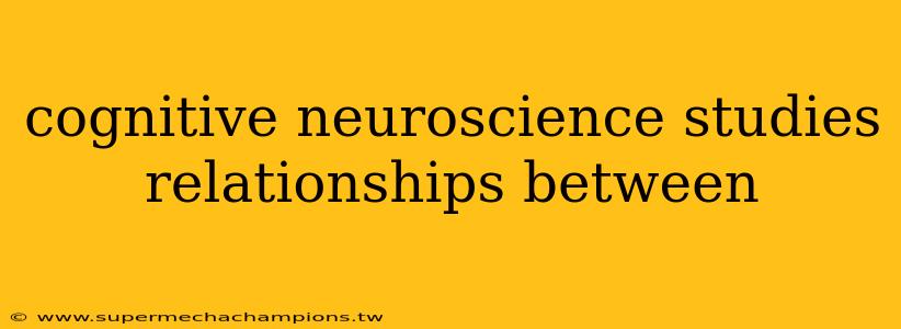 cognitive neuroscience studies relationships between