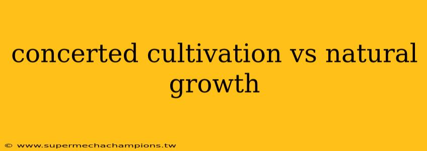 concerted cultivation vs natural growth