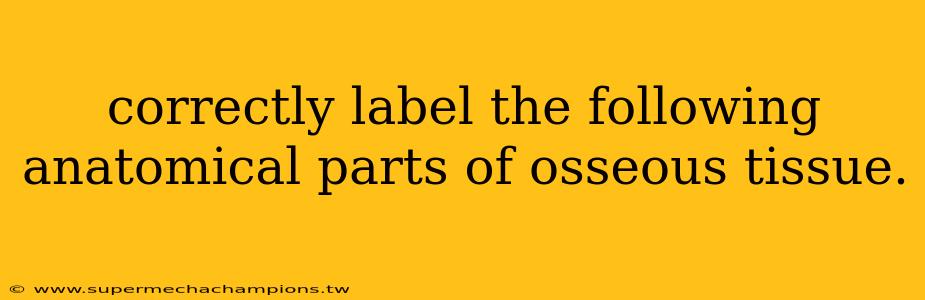 correctly label the following anatomical parts of osseous tissue.