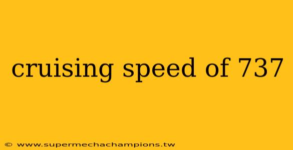 cruising speed of 737