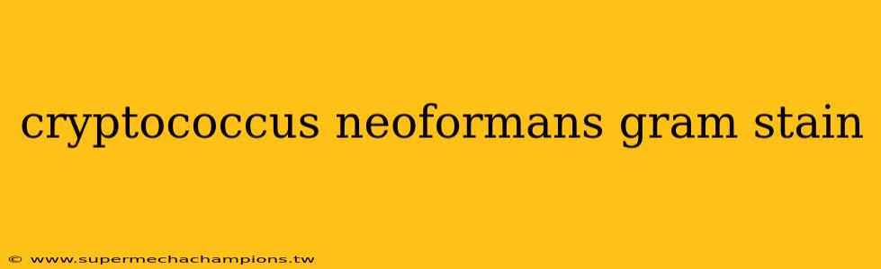 cryptococcus neoformans gram stain