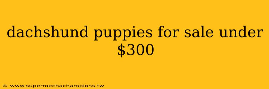dachshund puppies for sale under $300