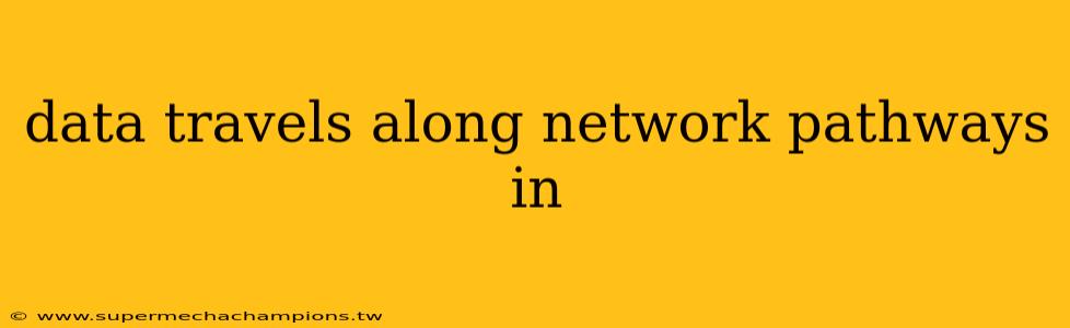 data travels along network pathways in