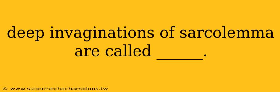 deep invaginations of sarcolemma are called ______.