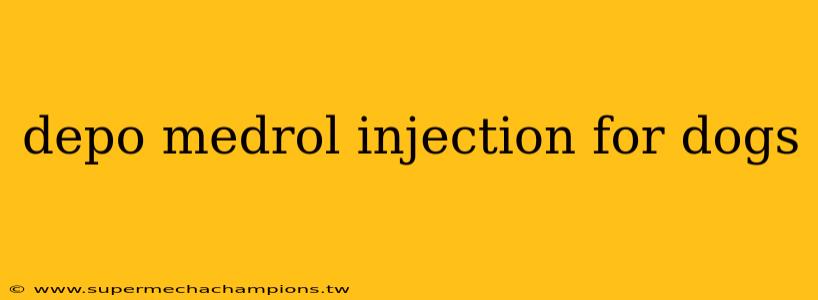 depo medrol injection for dogs