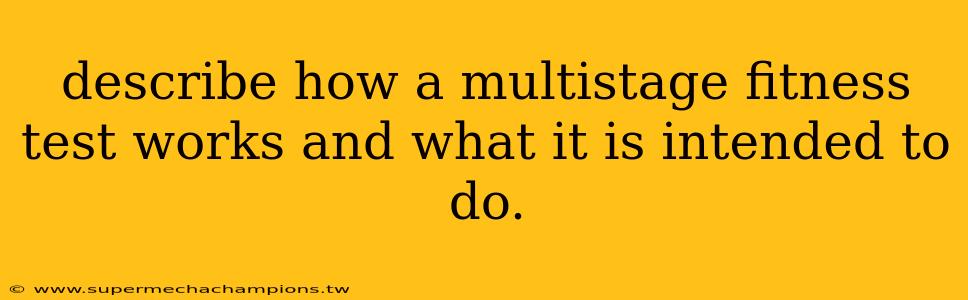 describe how a multistage fitness test works and what it is intended to do.