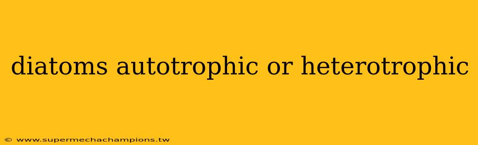 diatoms autotrophic or heterotrophic
