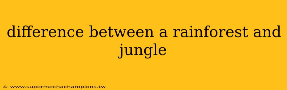 difference between a rainforest and jungle