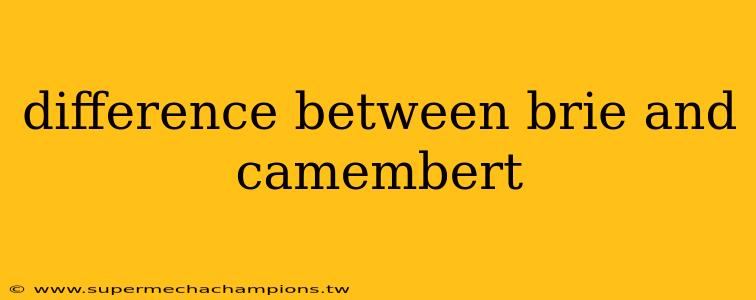 difference between brie and camembert