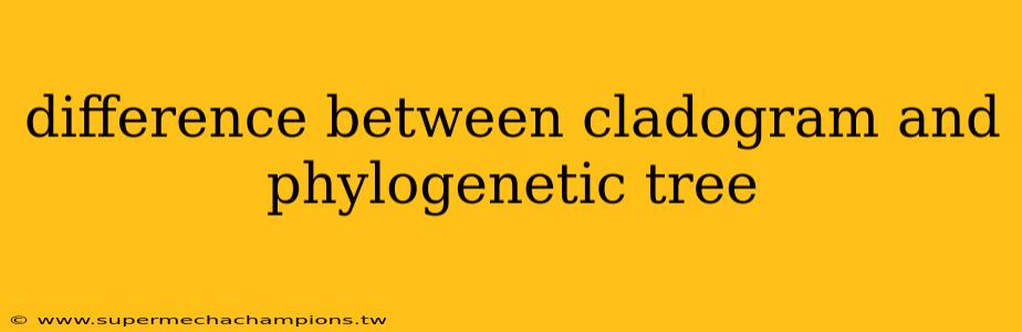 difference between cladogram and phylogenetic tree