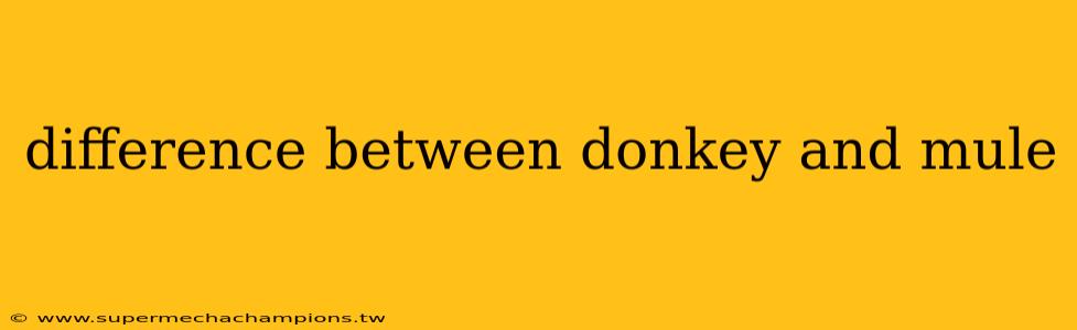 difference between donkey and mule