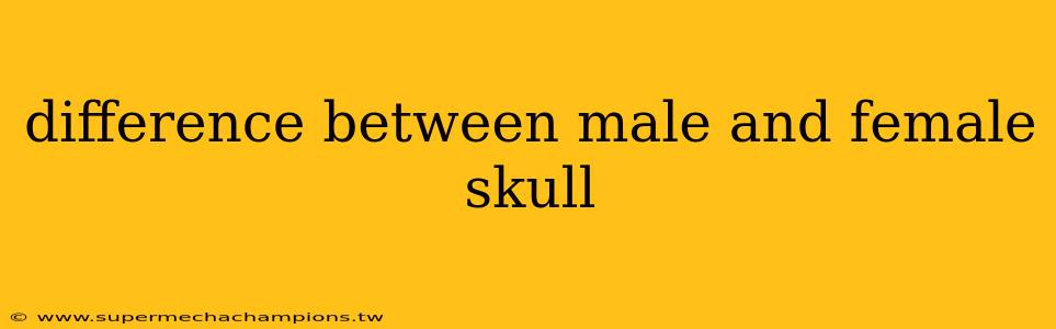 difference between male and female skull