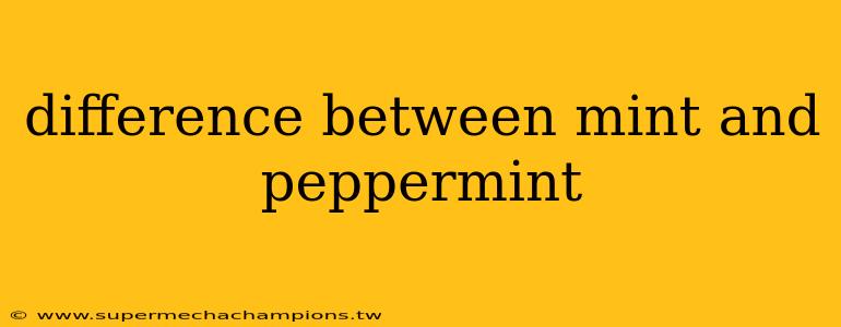 difference between mint and peppermint