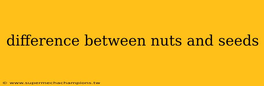 difference between nuts and seeds