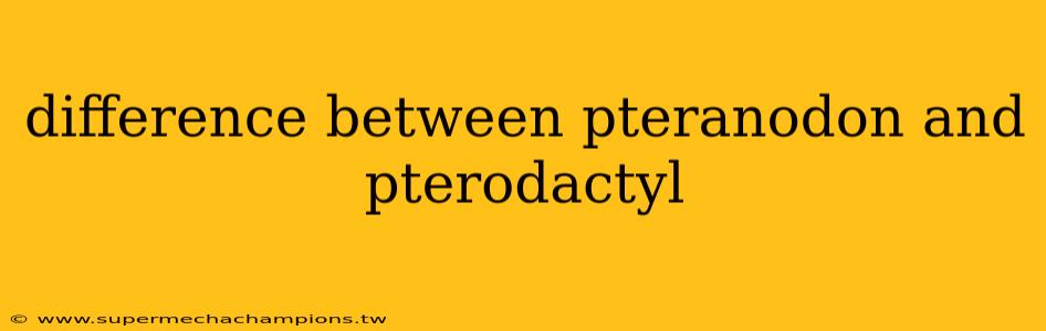 difference between pteranodon and pterodactyl