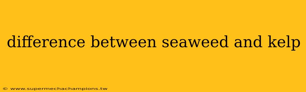 difference between seaweed and kelp