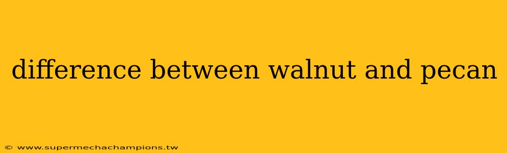 difference between walnut and pecan