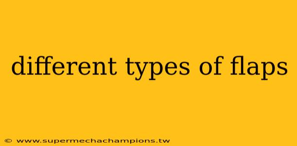 different types of flaps