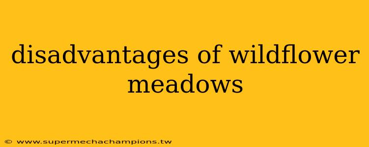 disadvantages of wildflower meadows