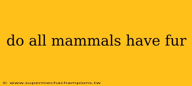 do all mammals have fur