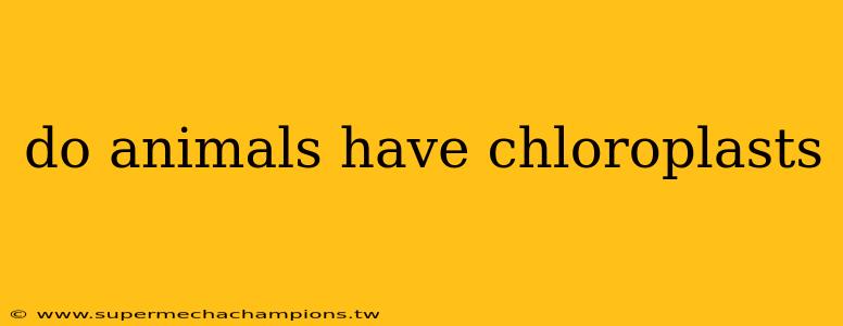 do animals have chloroplasts