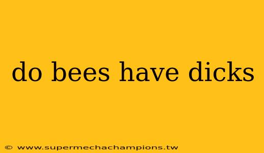 do bees have dicks