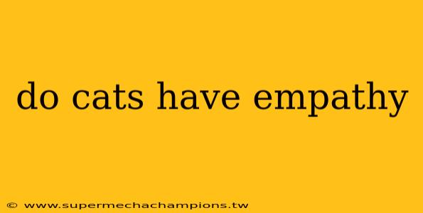 do cats have empathy