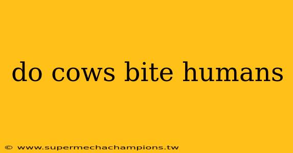 do cows bite humans