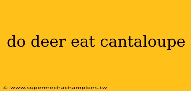 do deer eat cantaloupe