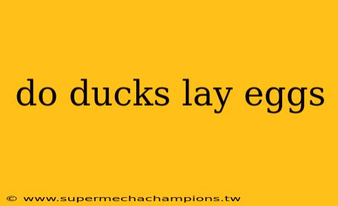 do ducks lay eggs